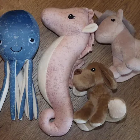 Trilobit * ברון